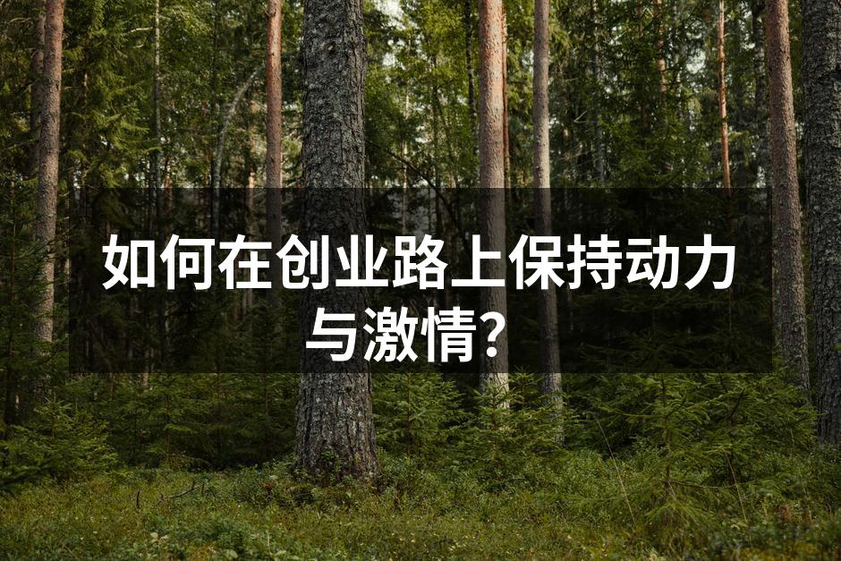 如何在创业路上保持动力与激情？